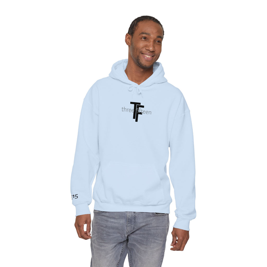 16 - Hoodie TF Three Fifteen Embroidered