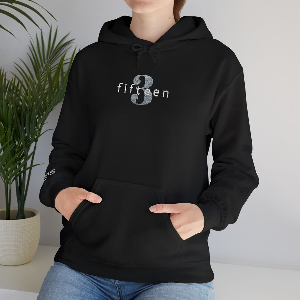 16 - Hoodie 3 Fifteen Embroidered Hoodie Multi Color - Hope Matters - Hoodie — Minimal Black Square Anchor Logo Pullover