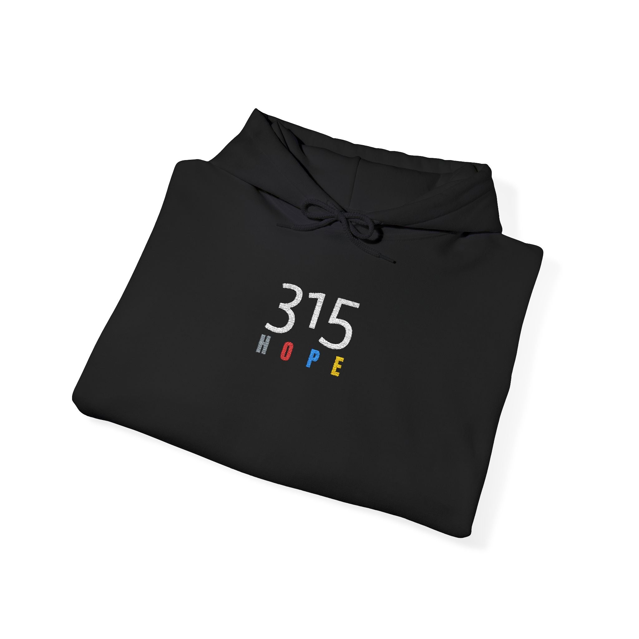 16 - 315 Hope Colors Embroidered Hoodie — Minimalist Distressed Graphic Sweatshirt