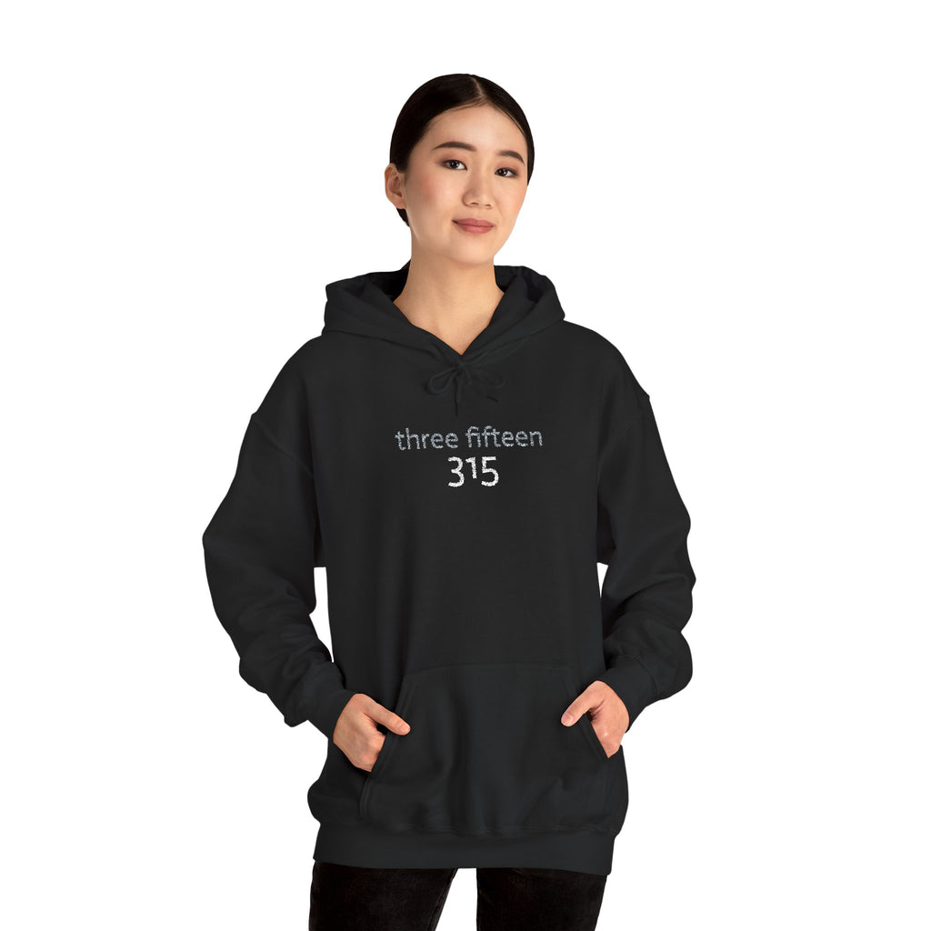 16 - 315 Three Fifteen Embroidered Hoodie — Minimalist Distressed Graphic Sweatshirt
