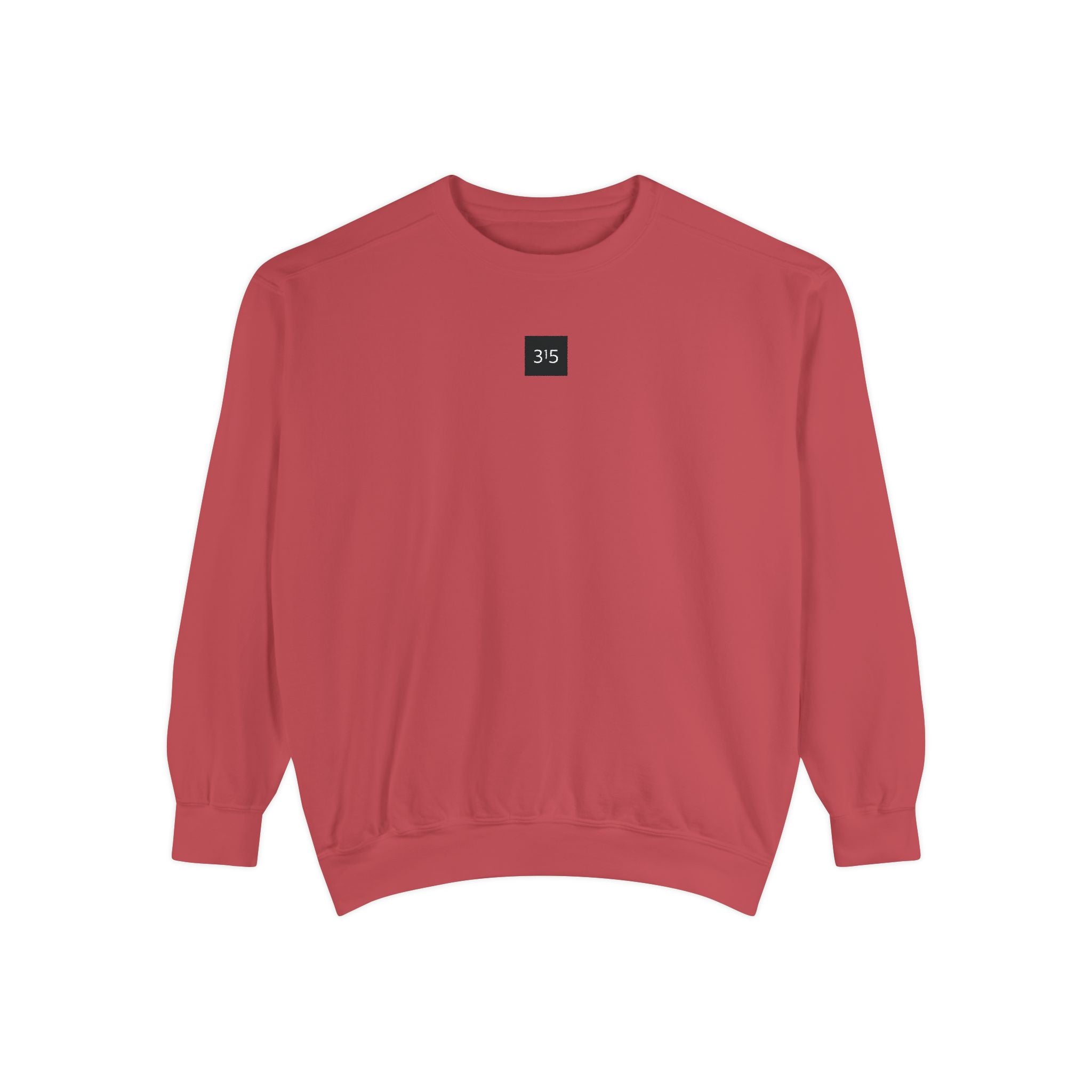 15 - Sweatshirt 315 Multi Color - Embroidered Minimalist Logo Sweatshirt —Crewneck Casual Pullover