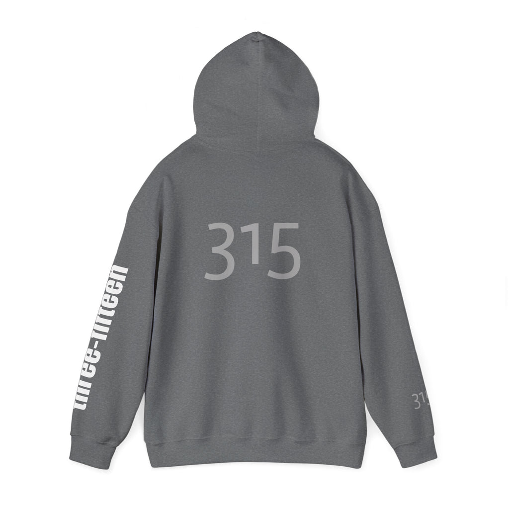 16 - Multi Color Printed Bold 315 Three Fifteen Inspirational Quote Hoodie - This Isn't The End Of My Story