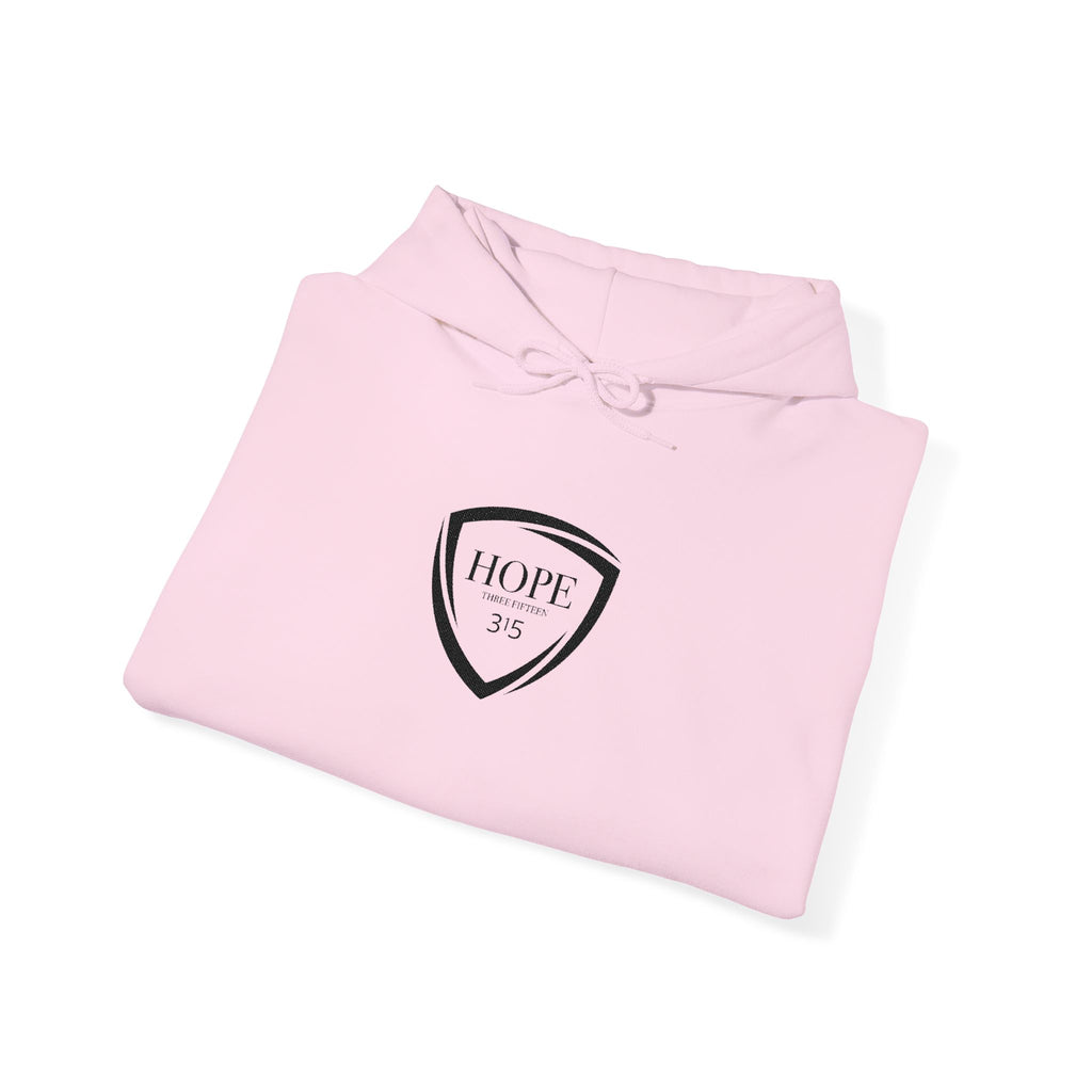 16 - Multi Color - Embroidered Hope Shield Hoodie — Pullover