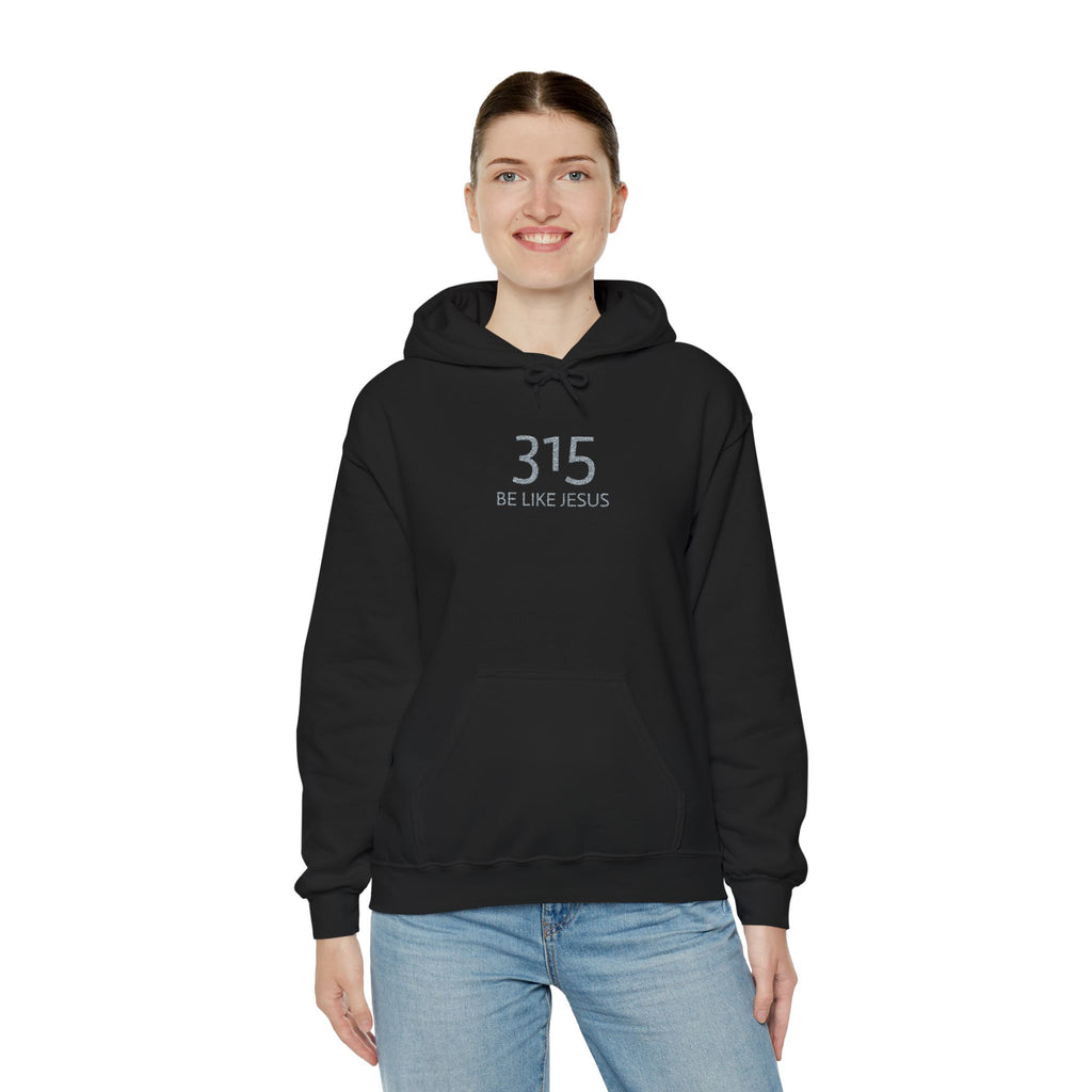 16 - 315 Be Like Jesus Embroidered Hoodie — Minimalist Distressed Graphic Sweatshirt