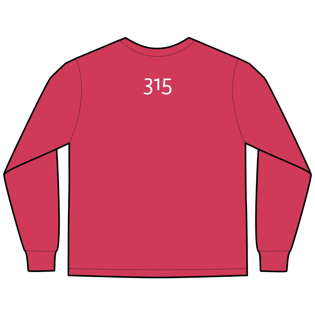 Multi Colors Hanes Garment-Dyed Long Sleeve T-Shirt with 315 Print