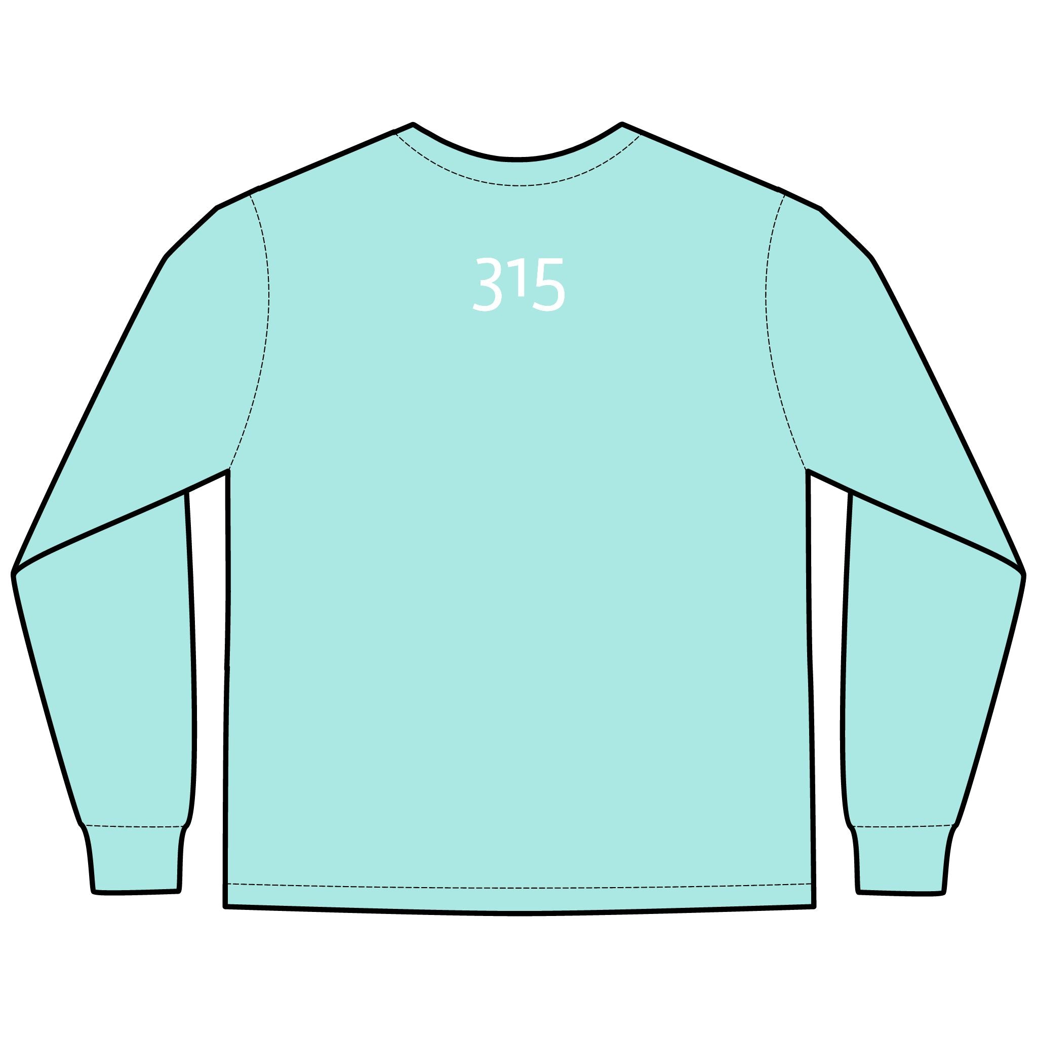 Multi Colors Hanes Garment-Dyed Long Sleeve T-Shirt with 315 Print