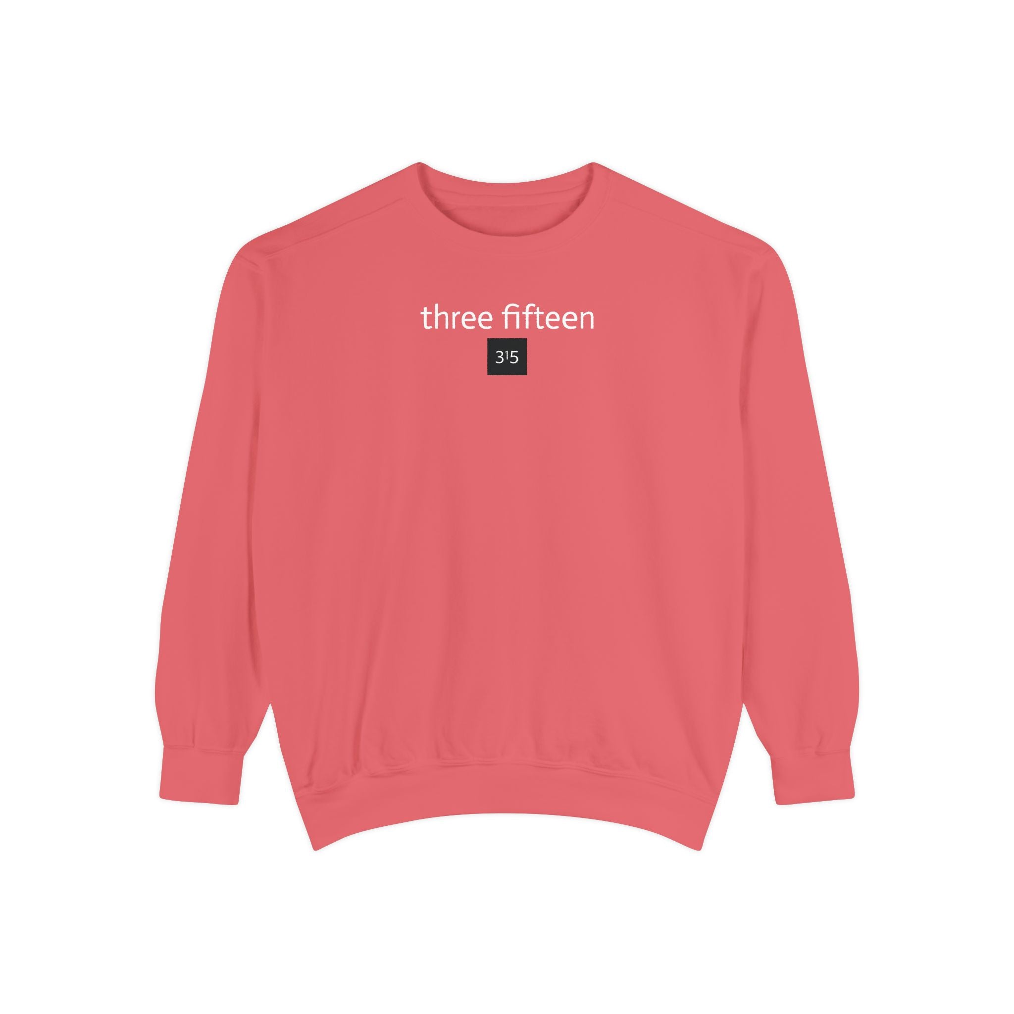 15 - Sweatshirt 315 Multi Color - Embroidered Minimalist Logo Sweatshirt —Crewneck Casual Pullover