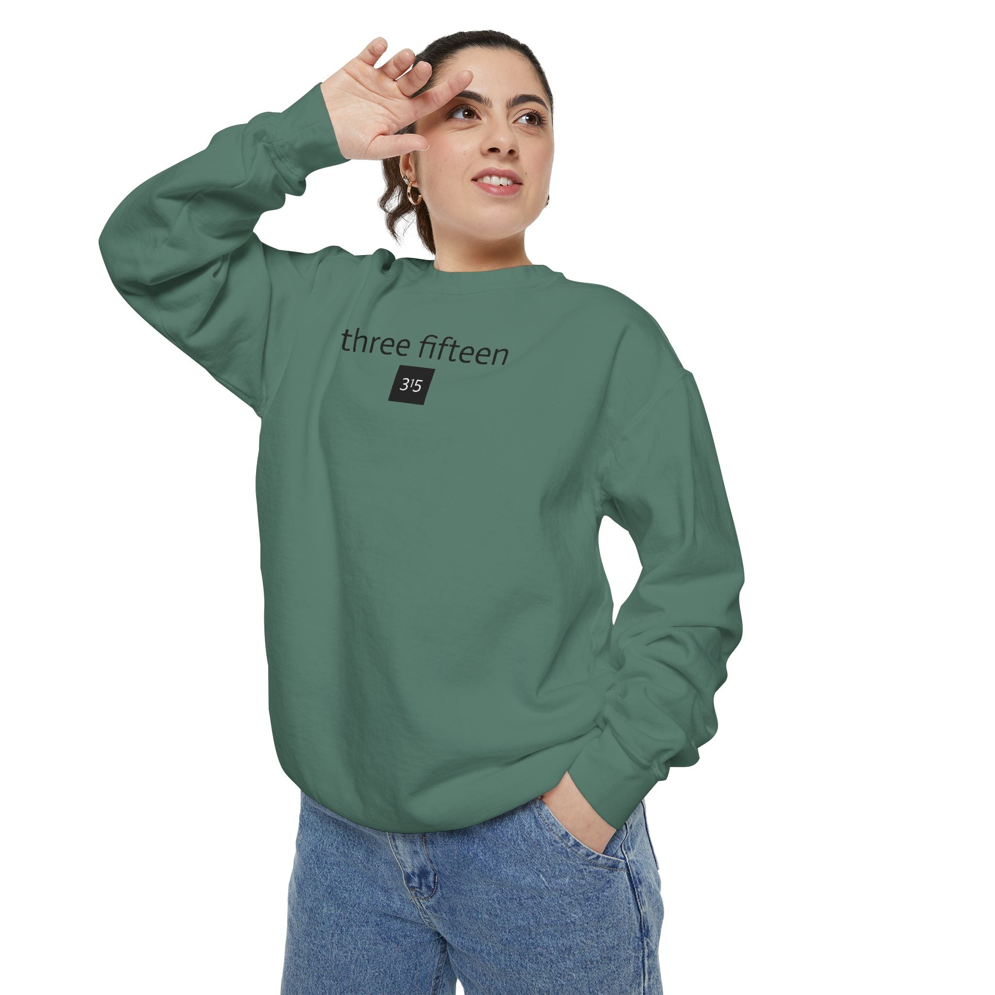 15 - Sweatshirt 315 Multi Color - Embroidered Minimalist Logo Sweatshirt —Crewneck Casual Pullover