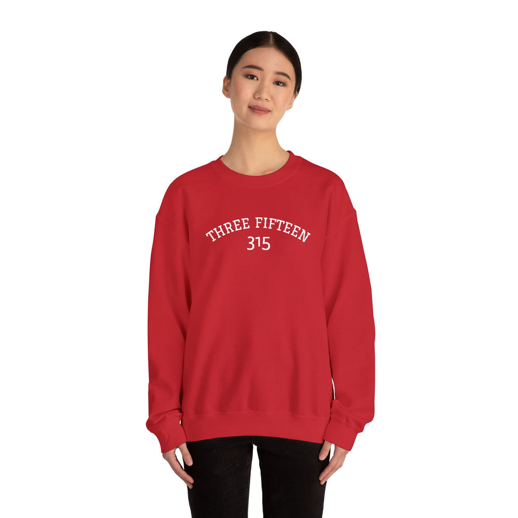 15 - Minimal '315' Embroidered Logo Crewneck Sweatshirt — White Casual Pullover