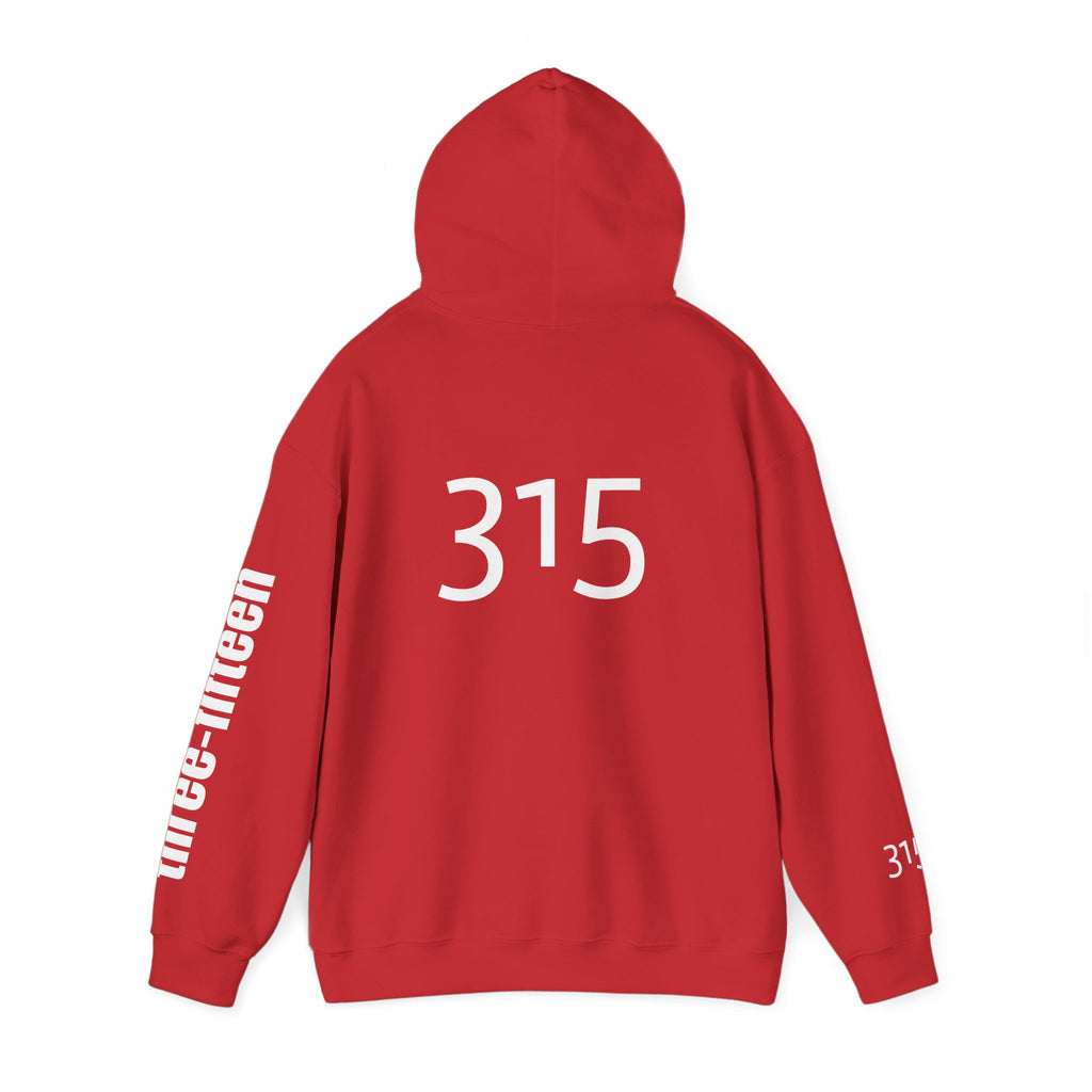 Multi Color Three-Fifteen Inspirational Quote Hoodie - This Isn't The End Of My Story