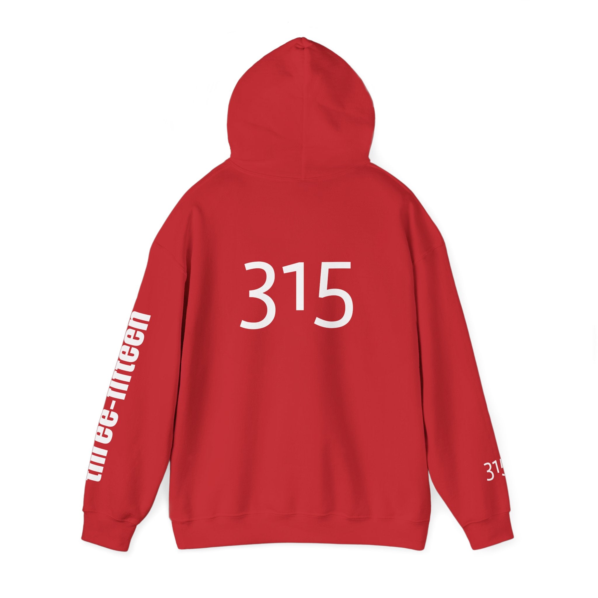 Multi Color Three-Fifteen Inspirational Quote Hoodie - This Isn't The End Of My Story