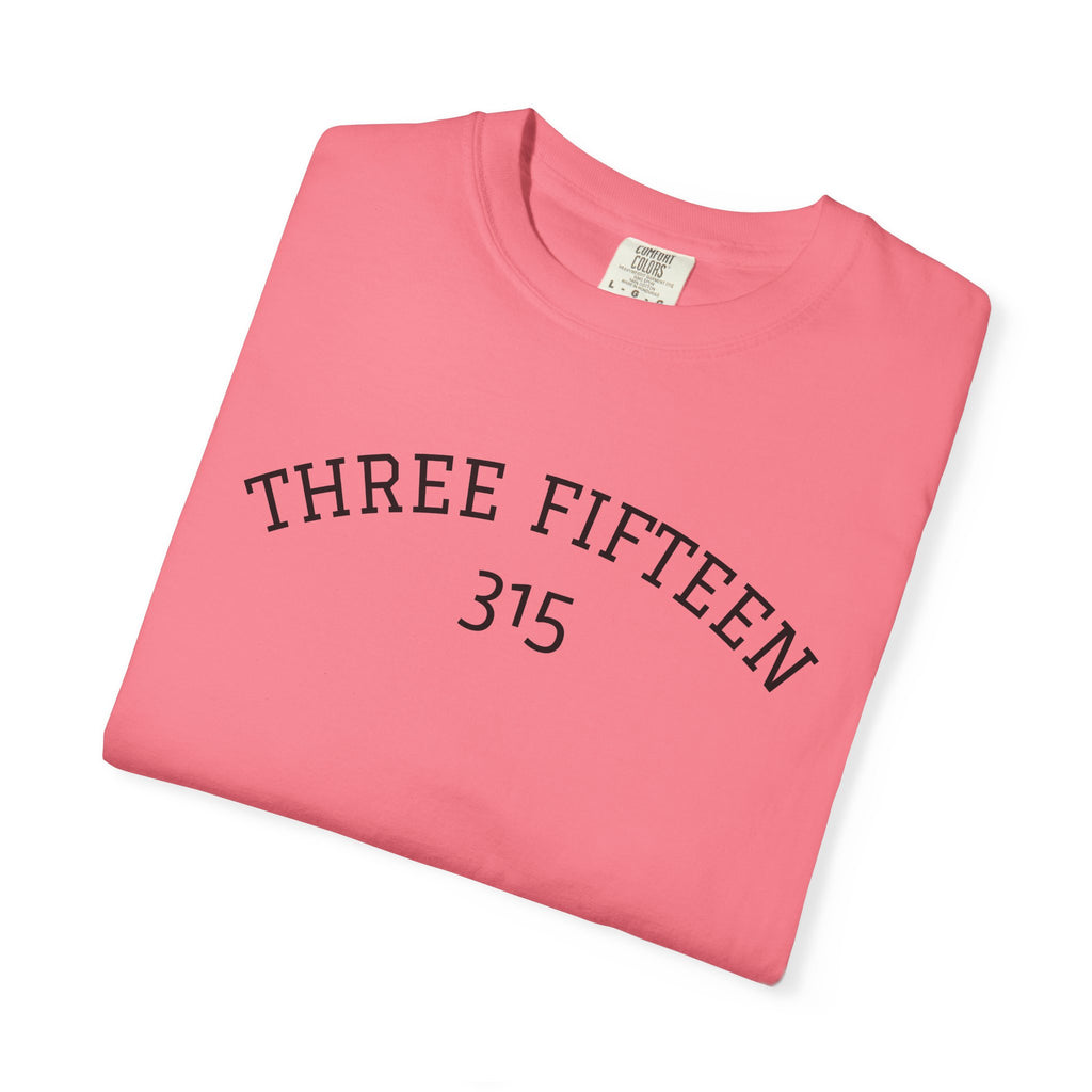 1 - 315 Basic Multi Colors T-Shirt