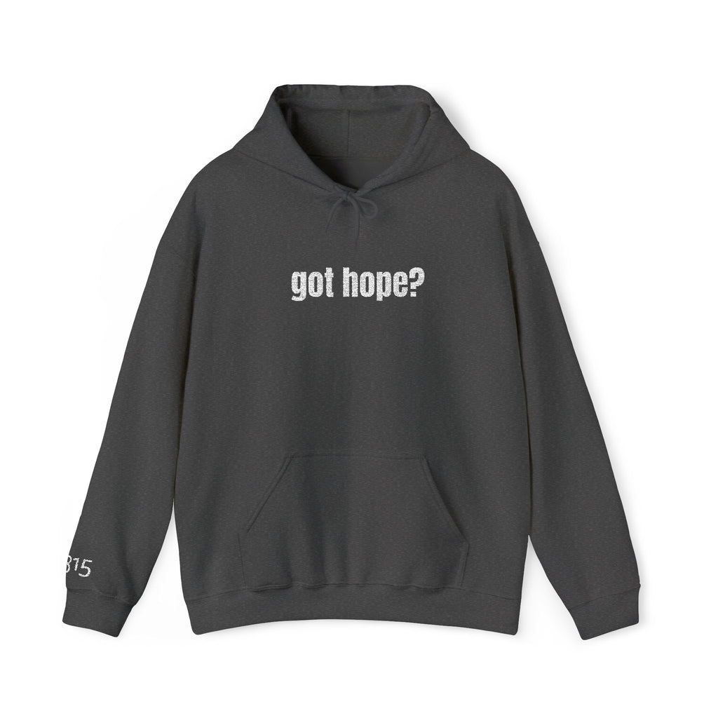 16 - Embroidered Got Hope? Hoodie Multi Color - Hope Matters - Hoodie — Minimal Black Square Anchor Logo Pullover