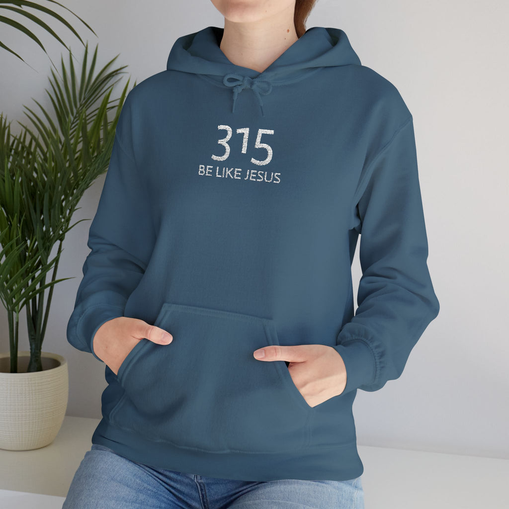 16 - 315 Be Like Jesus Embroidered Hoodie — Minimalist Distressed Graphic Sweatshirt