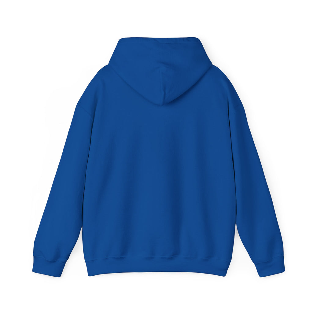 16 - Multi Color Custom Unisex Hooded Sweatshirt - Perfect for Everyday Comfort