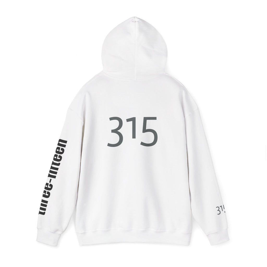 16 - Multi Color Printed Bold 315 Three Fifteen Inspirational Quote Hoodie - This Isn't The End Of My Story
