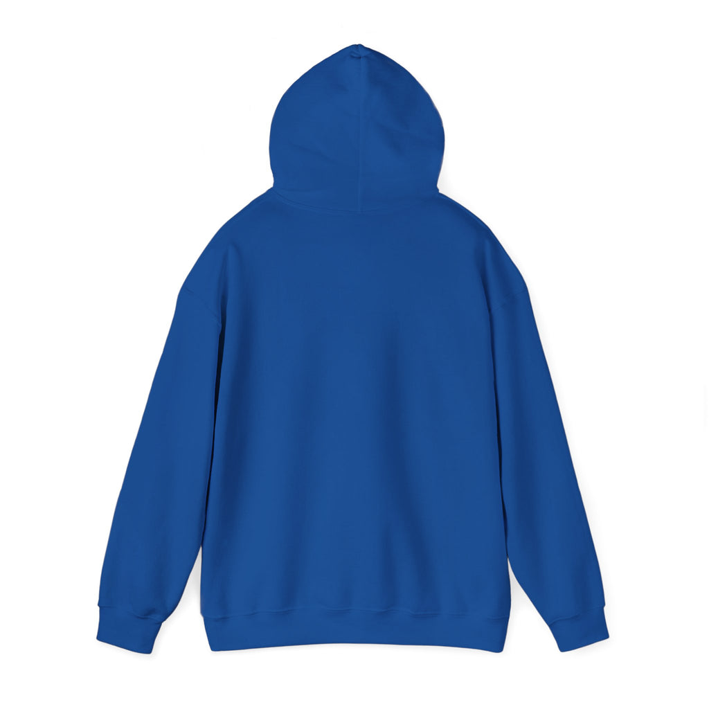 16 - Multi Color Custom Unisex Hooded Sweatshirt - Perfect for Everyday Comfort