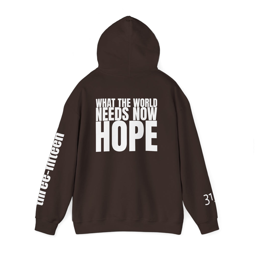 16 - Multi Colors “What the World Needs Now - HOPE”" Inspirational Quote Hoodie - This Isn't The End Of My Story