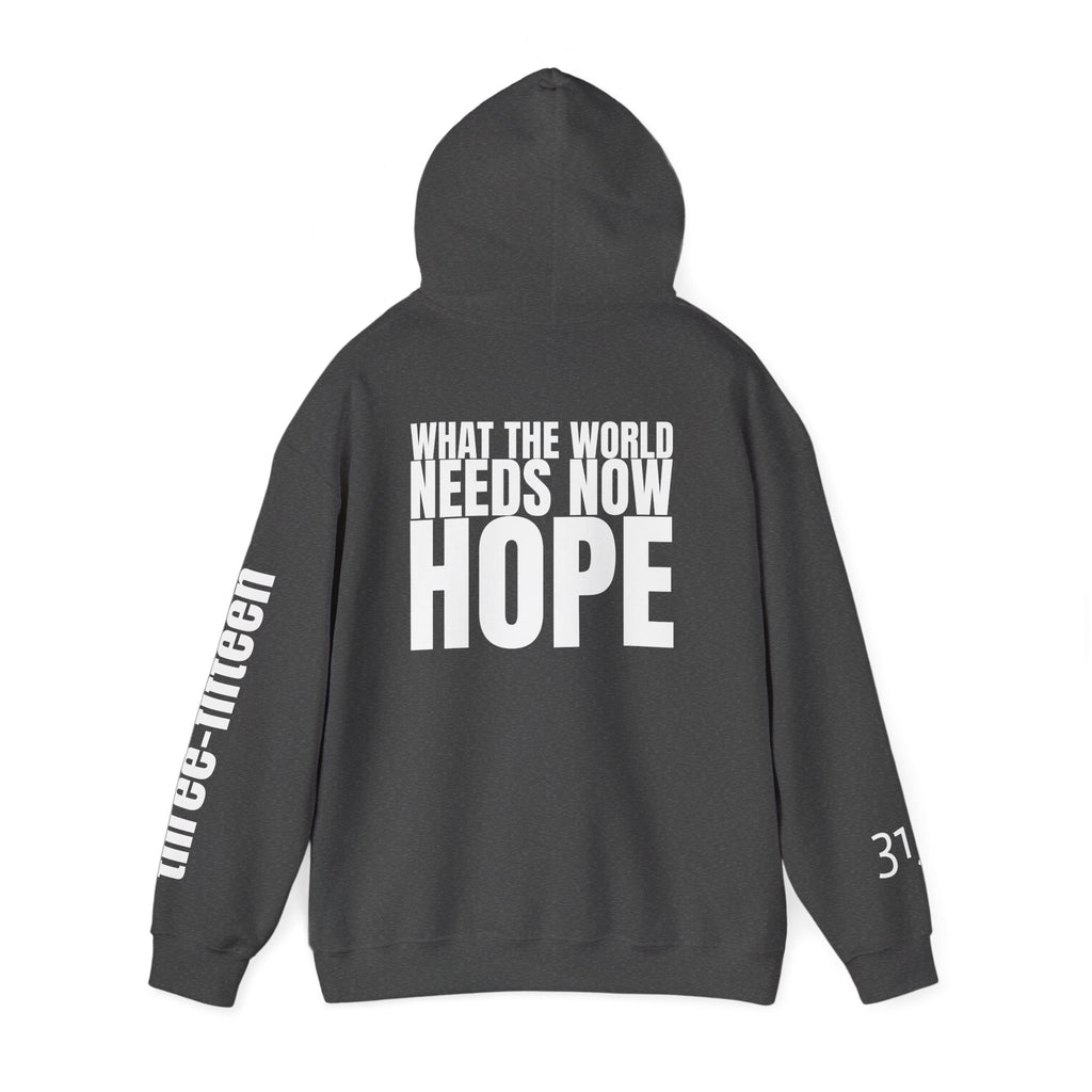 Multi Colors “What the World Needs Now - HOPE”" Inspirational Quote Hoodie - This Isn't The End Of My Story
