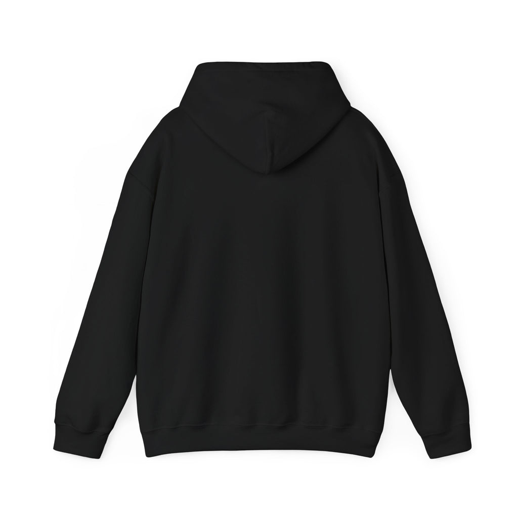16 - Multi Color Custom Unisex Hooded Sweatshirt - Perfect for Everyday Comfort
