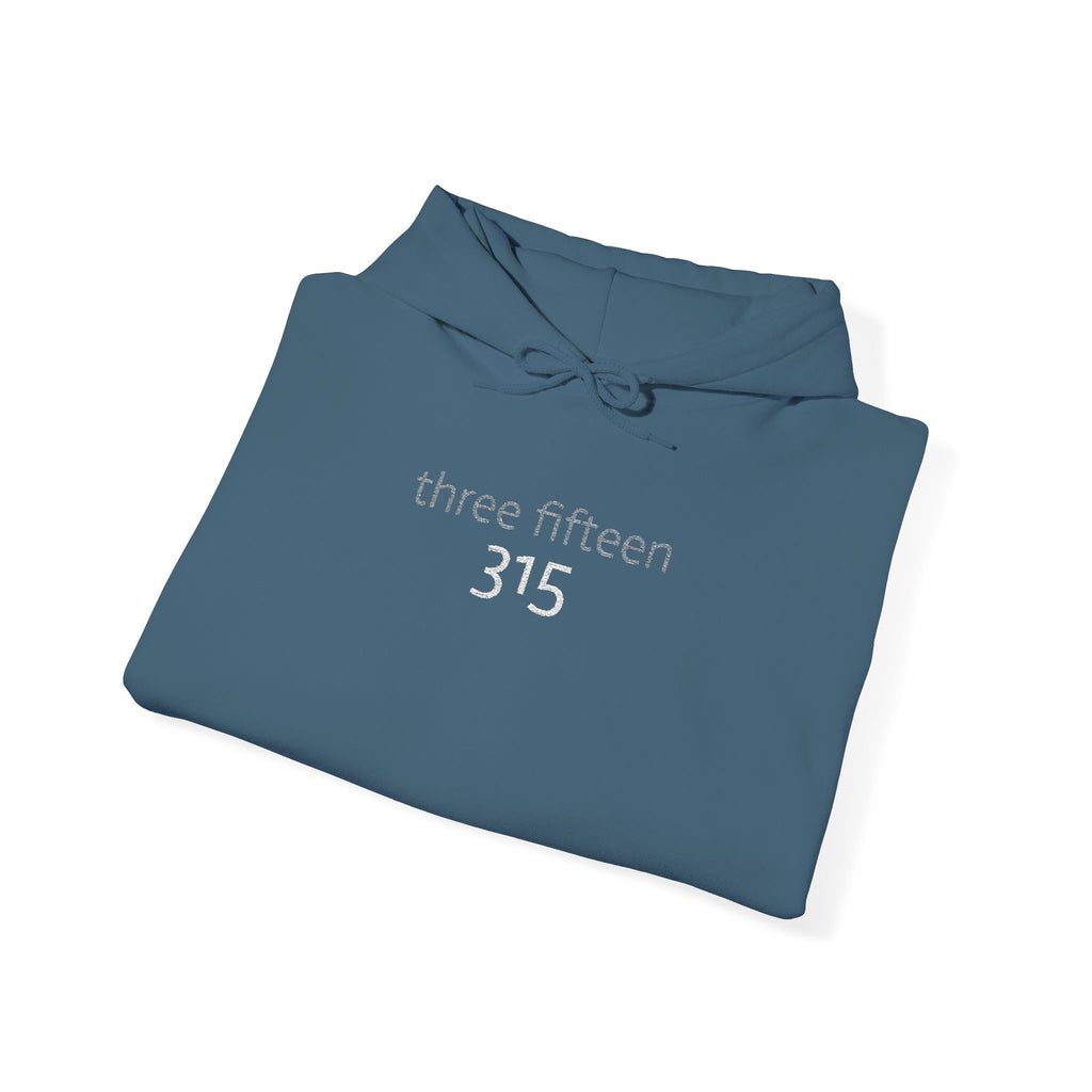 16 - 315 Three Fifteen Embroidered Multi Colors Hoodie — Minimalist Distressed Graphic Sweatshirt