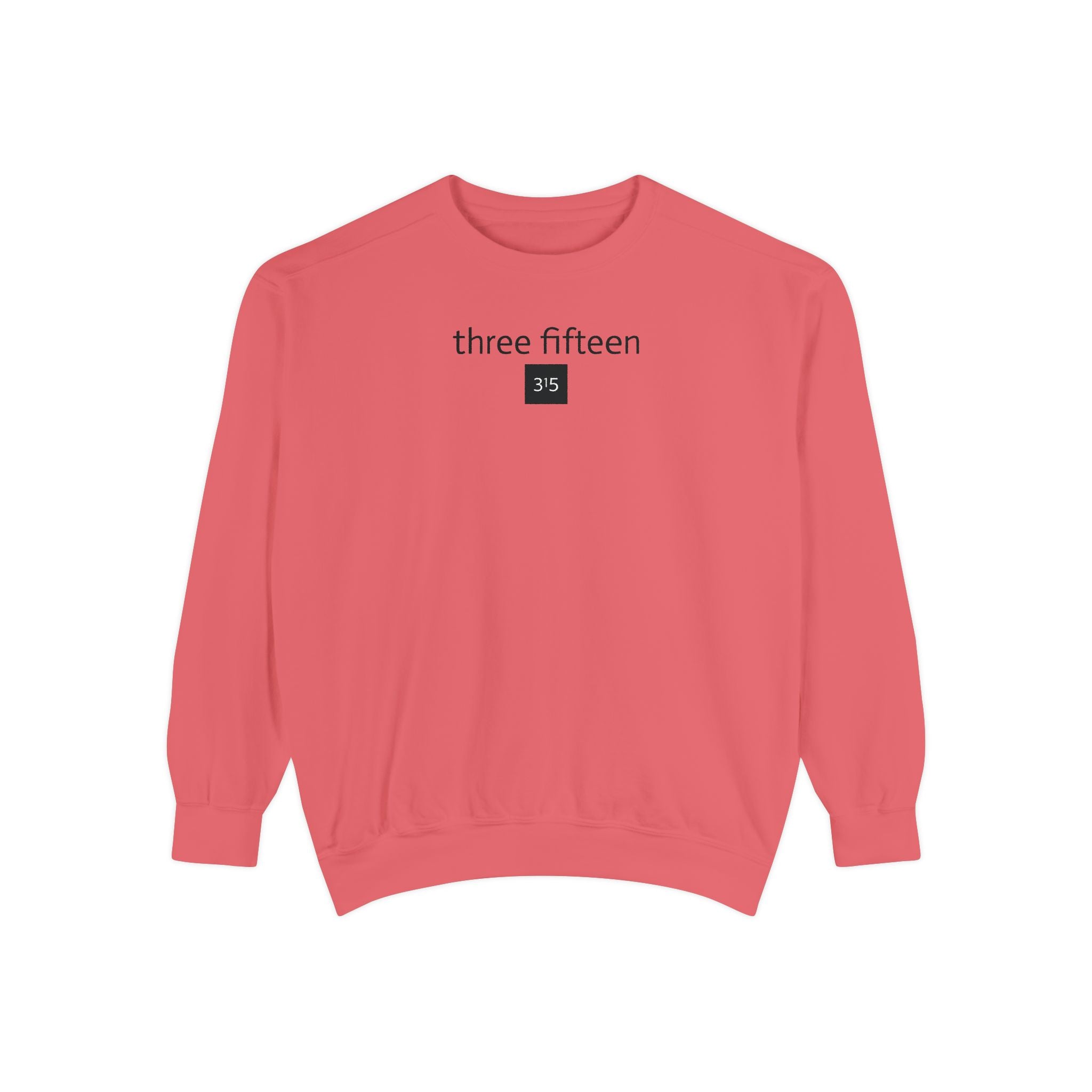 15 - Sweatshirt 315 Multi Color - Embroidered Minimalist Logo Sweatshirt —Crewneck Casual Pullover