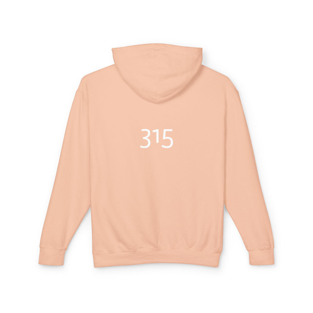 16 - Got Hope? Hoodie — Comfort Colors Minimalist Inspirational Pullover