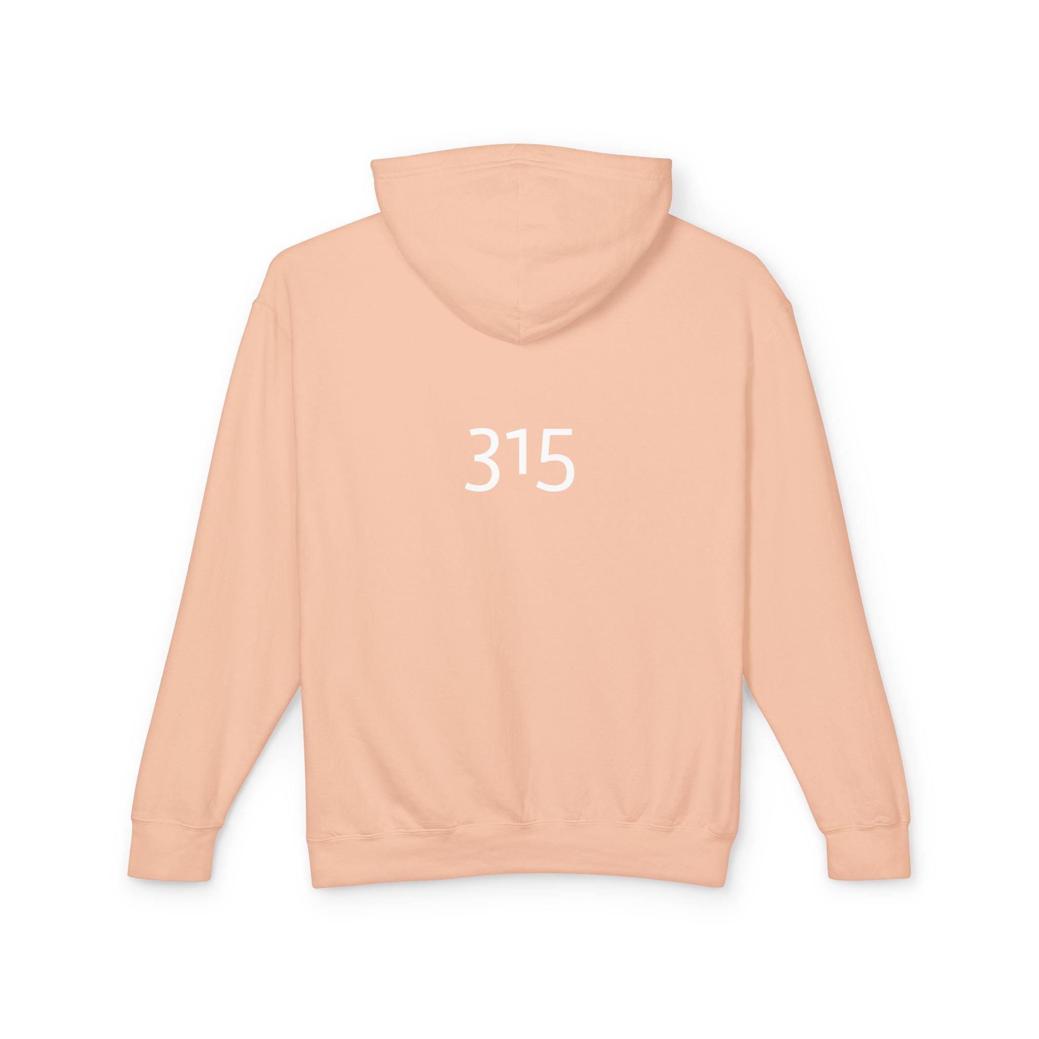 16 - Got Hope? Hoodie — Comfort Colors Minimalist Inspirational Pullover