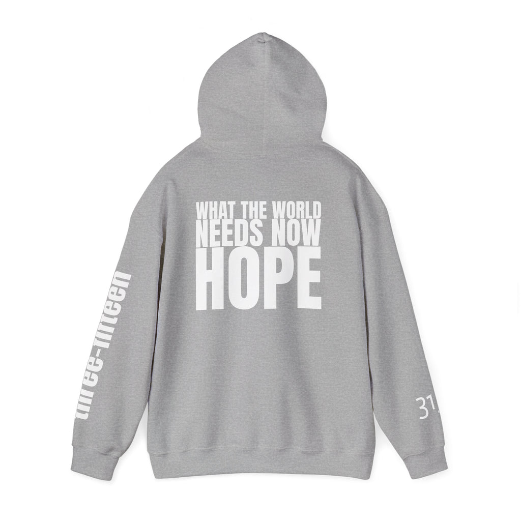 16 - Multi Colors “What the World Needs Now - HOPE”" Inspirational Quote Hoodie - This Isn't The End Of My Story
