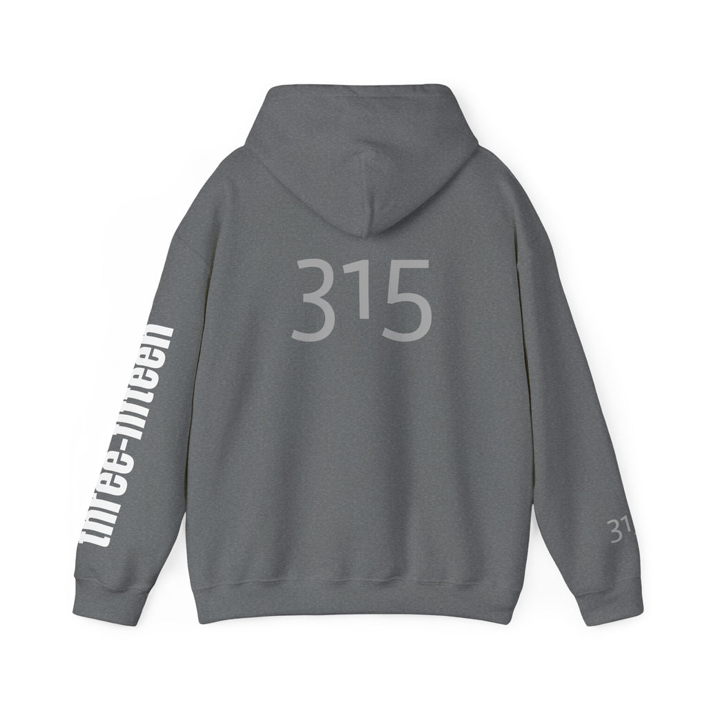 16 - Multi Color Printed Bold 315 Three Fifteen Inspirational Quote Hoodie - This Isn't The End Of My Story