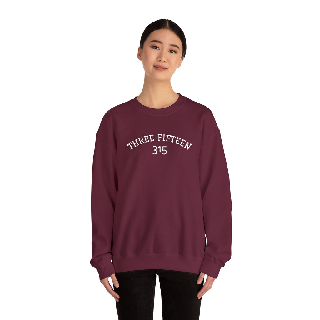 15 - Minimal '315' Embroidered Logo Crewneck Sweatshirt — White Casual Pullover