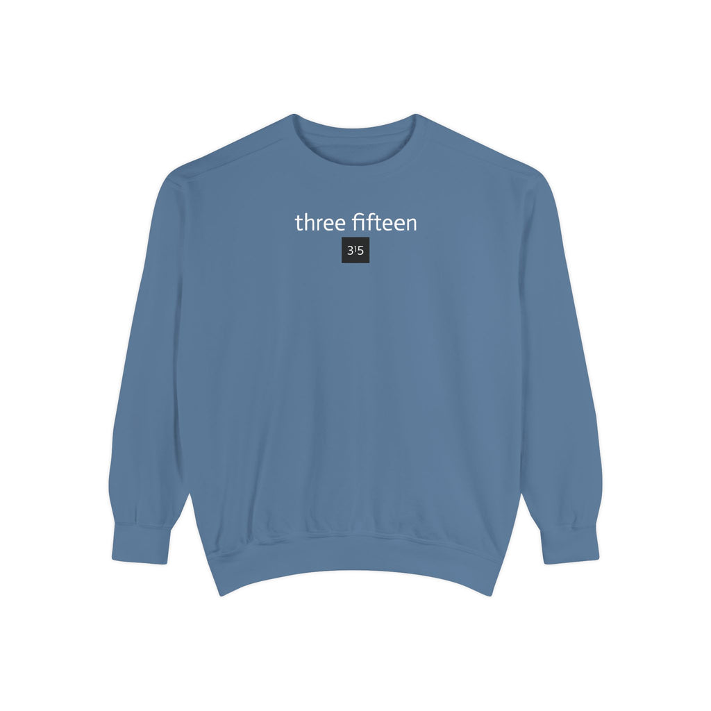 15 - Sweatshirt 315 Multi Color - Embroidered Minimalist Logo Sweatshirt —Crewneck Casual Pullover