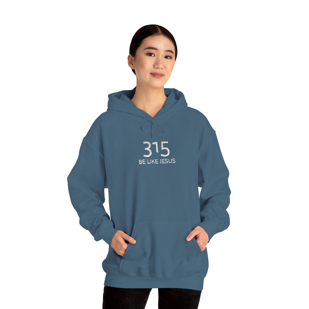 16 - 315 Be Like Jesus Embroidered Hoodie — Minimalist Distressed Graphic Sweatshirt