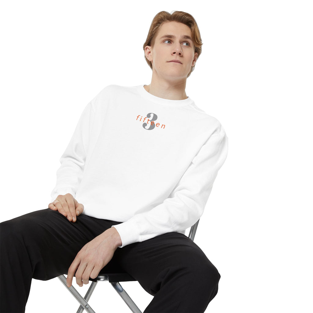 15 - Sweatshirt 3 Fifteen Multi Color - Embroidered Minimalist Logo Sweatshirt —Crewneck Casual Pullover