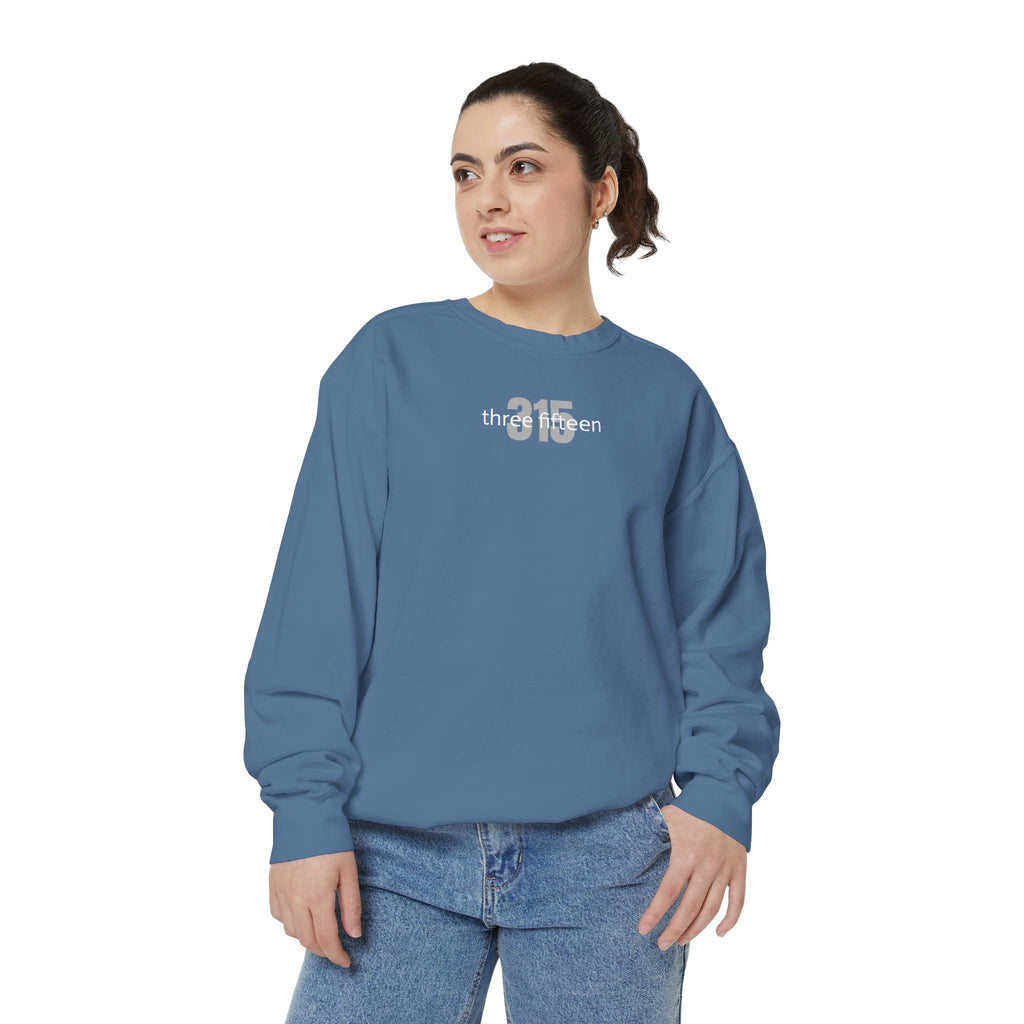 15 - Sweatshirt Bold 315 Multi Color - Embroidered Minimalist Logo Sweatshirt —Crewneck Casual Pullover