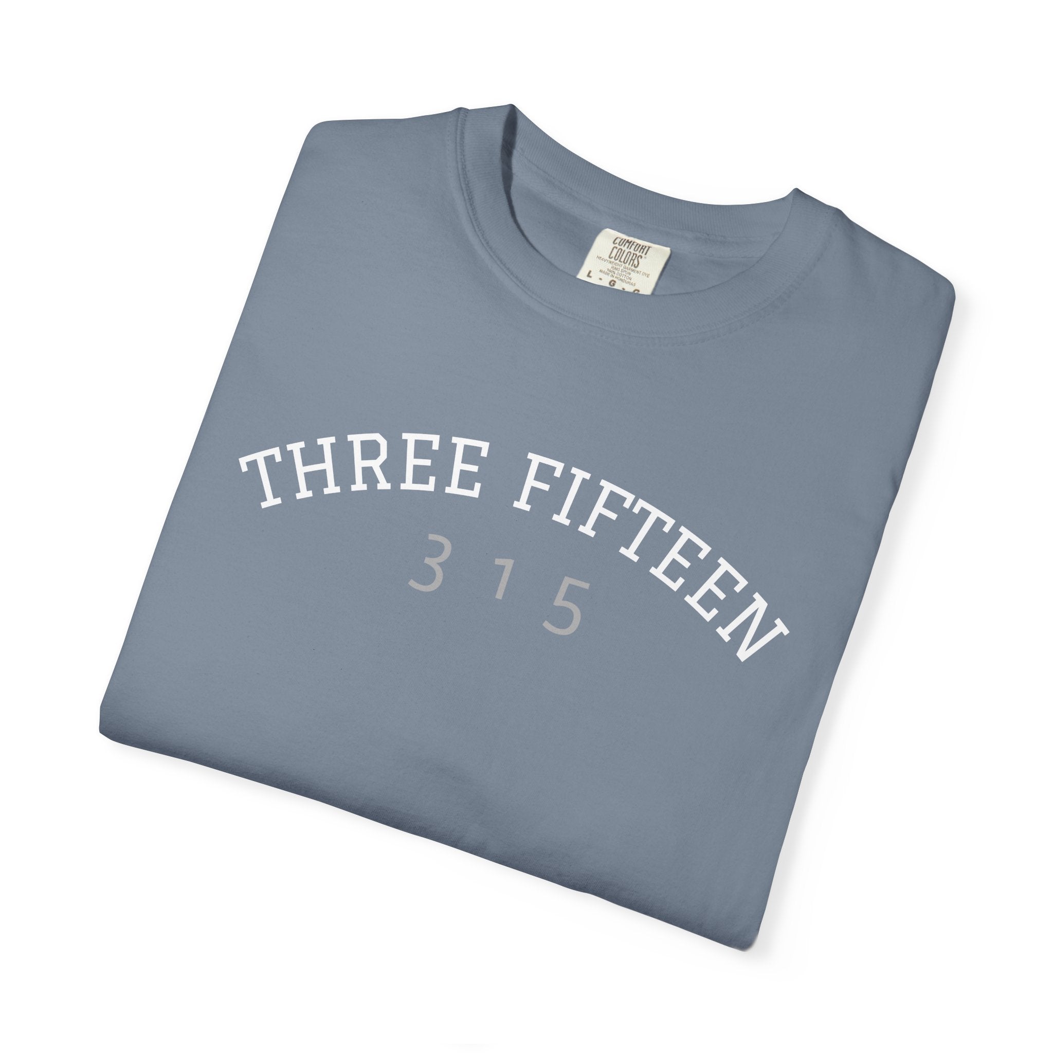 1 - Multi Color Tee - Gentleness and Respect