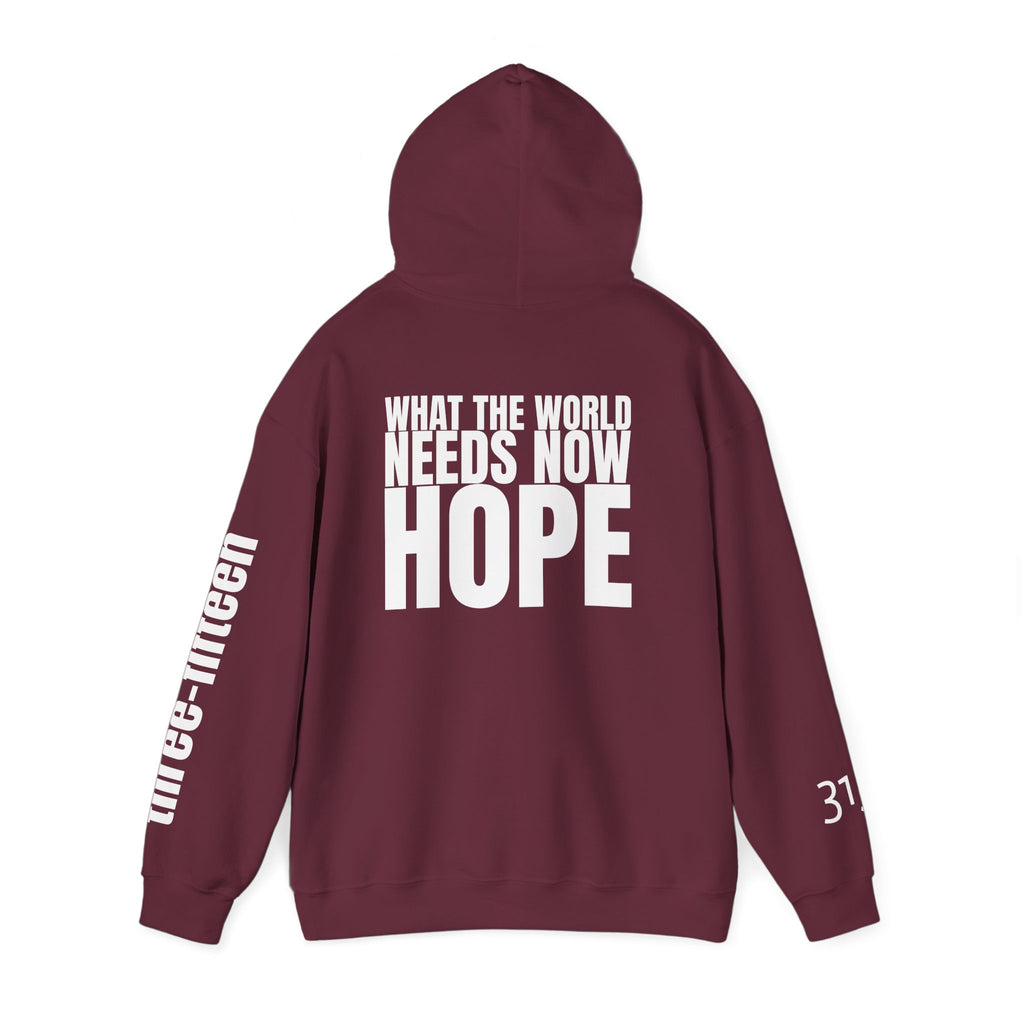 16 - Multi Colors “What the World Needs Now - HOPE”" Inspirational Quote Hoodie - This Isn't The End Of My Story
