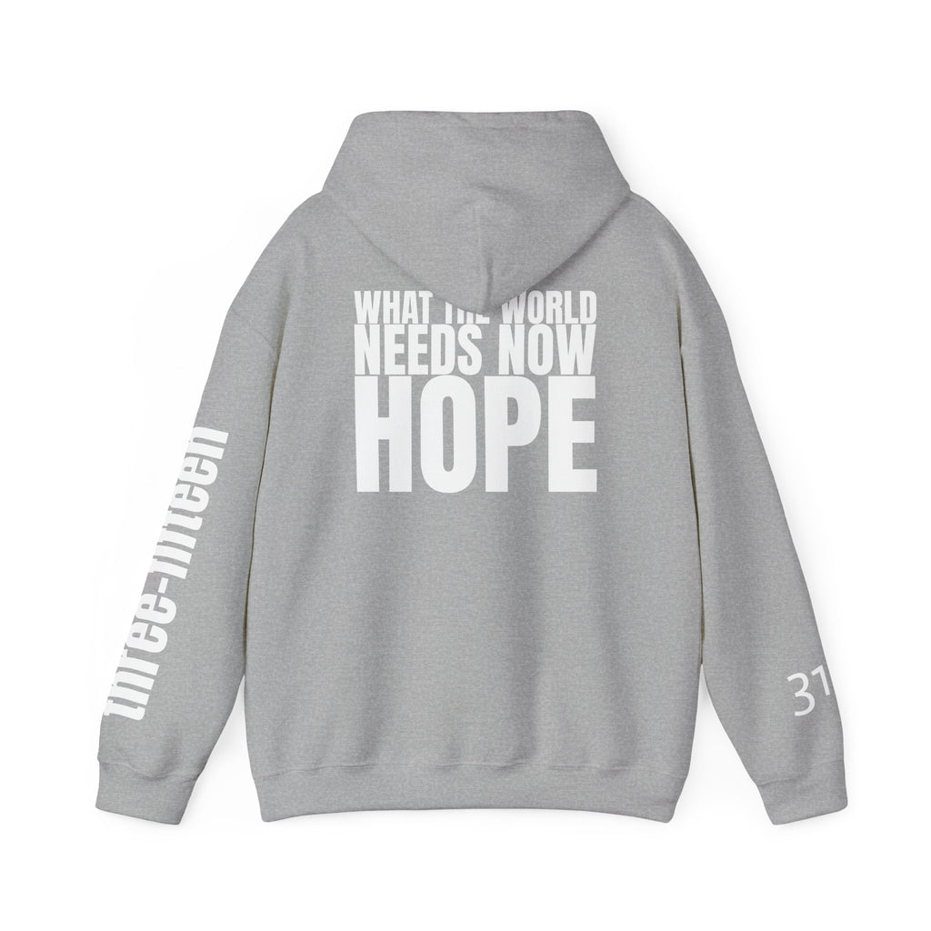 Multi Colors “What the World Needs Now - HOPE”" Inspirational Quote Hoodie - This Isn't The End Of My Story