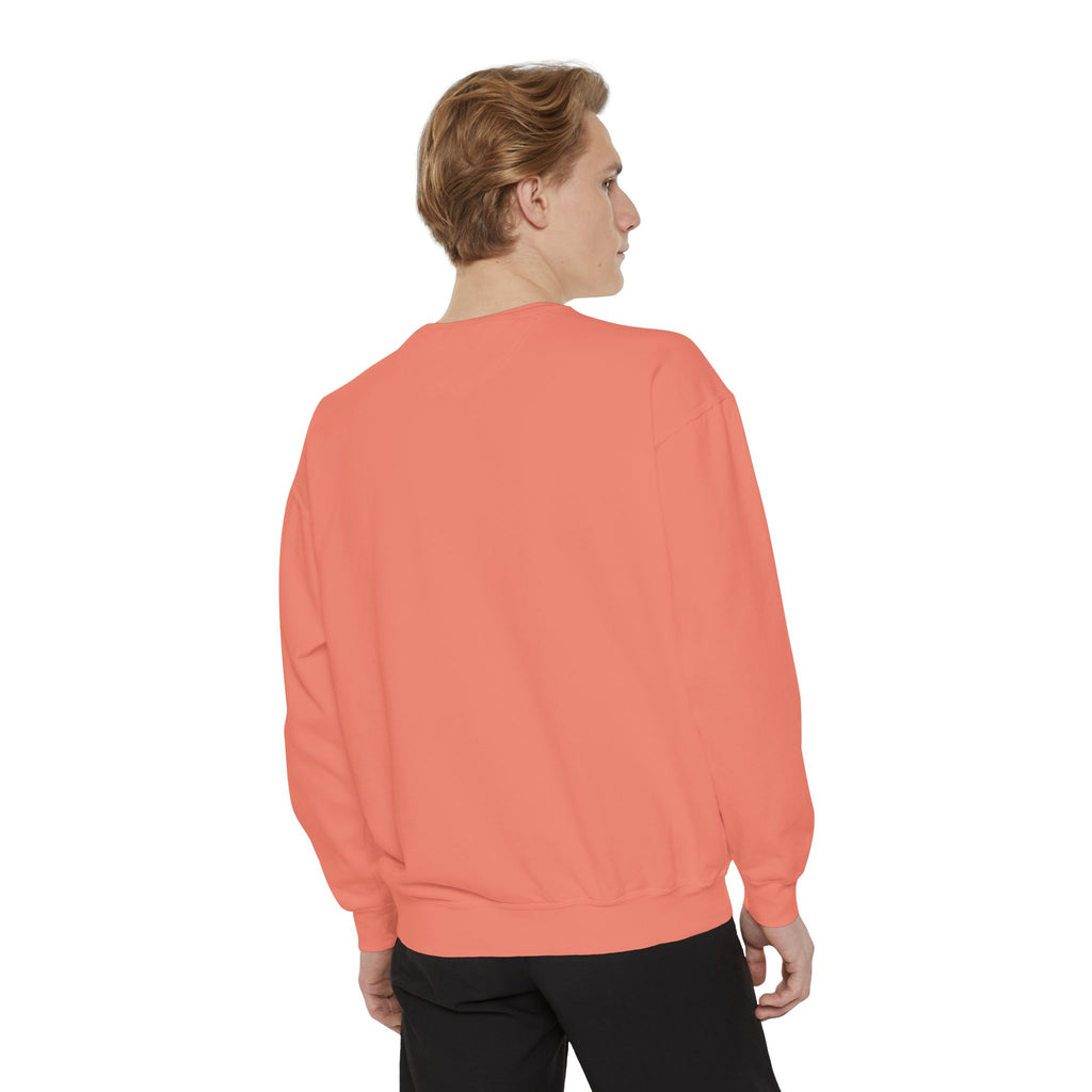 15 - Multi Color Hope Matters Embroidered Minimalist Logo Sweatshirt — White Crewneck Casual Pullover