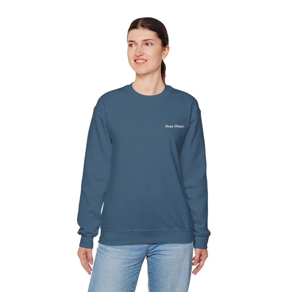 15 - TF Three Fifteen Embroidered Crewneck Sweatshirt — Minimal Graphic Pullover