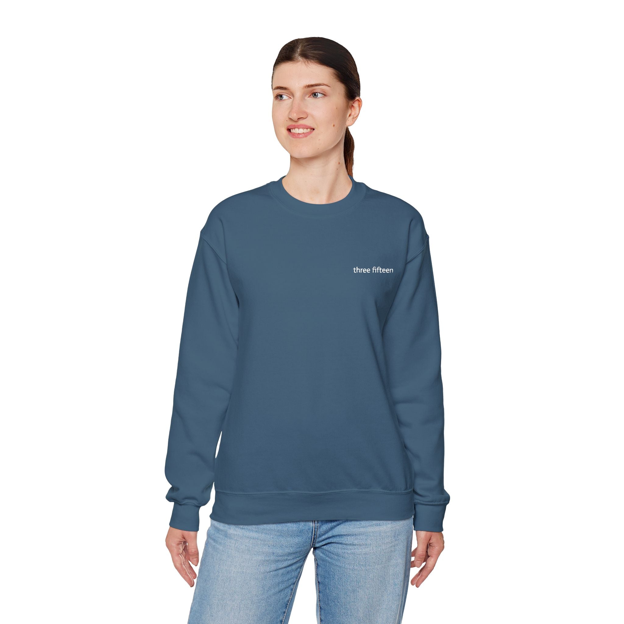 15 - TF Three Fifteen Embroidered Crewneck Sweatshirt — Minimal Graphic Pullover