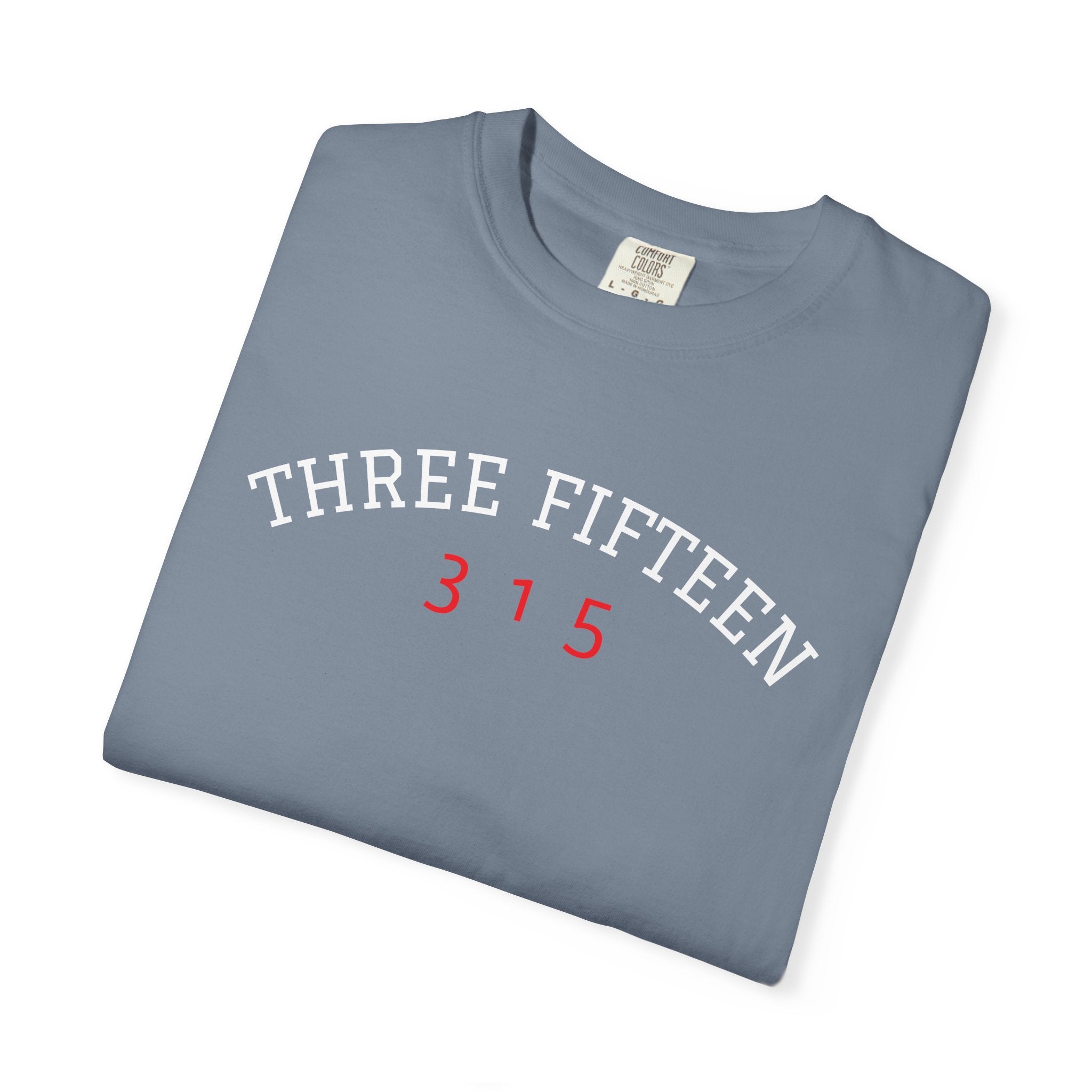 1 - Multi Color Tee - Gentleness and Respect