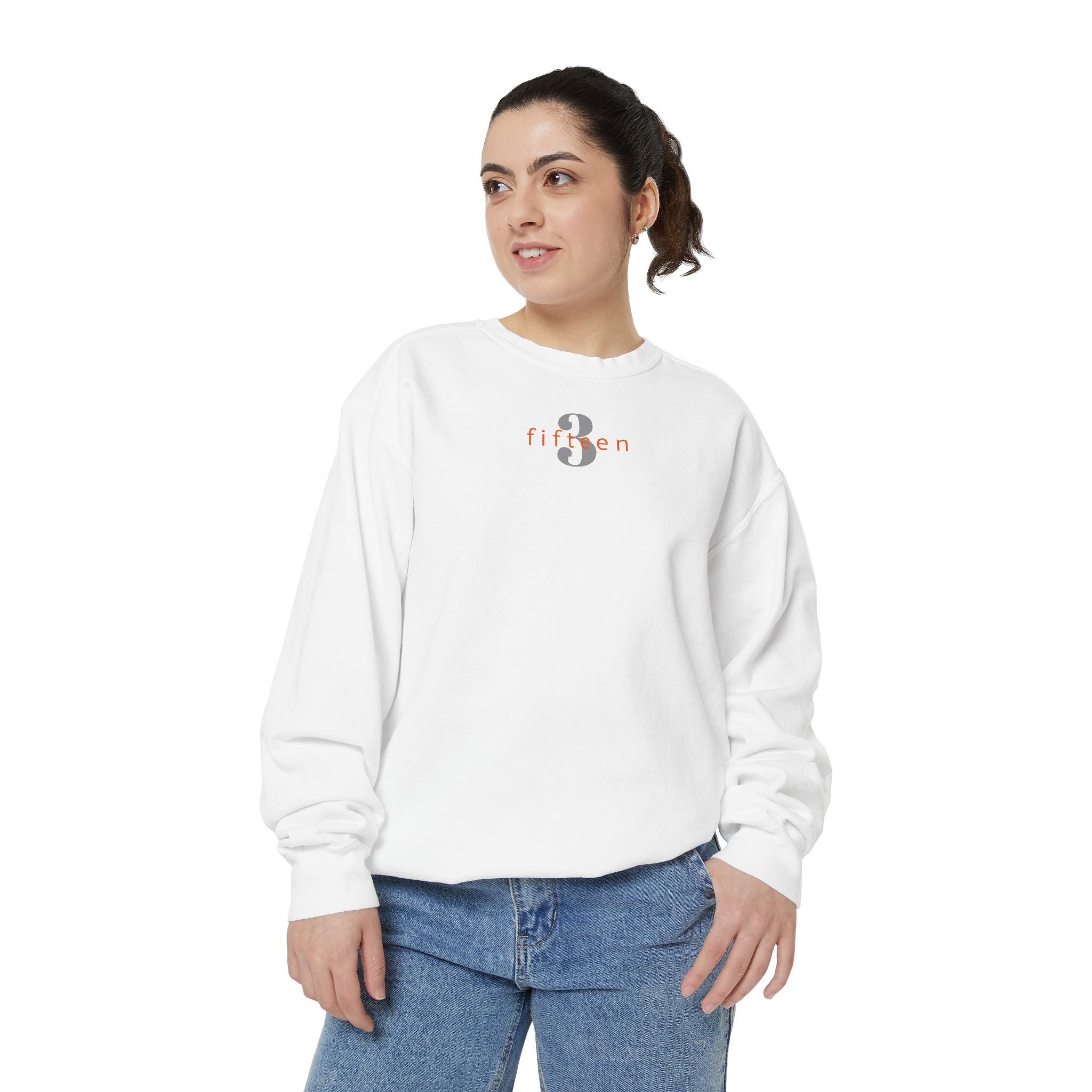 15 - Sweatshirt 3 Fifteen Multi Color - Embroidered Minimalist Logo Sweatshirt —Crewneck Casual Pullover