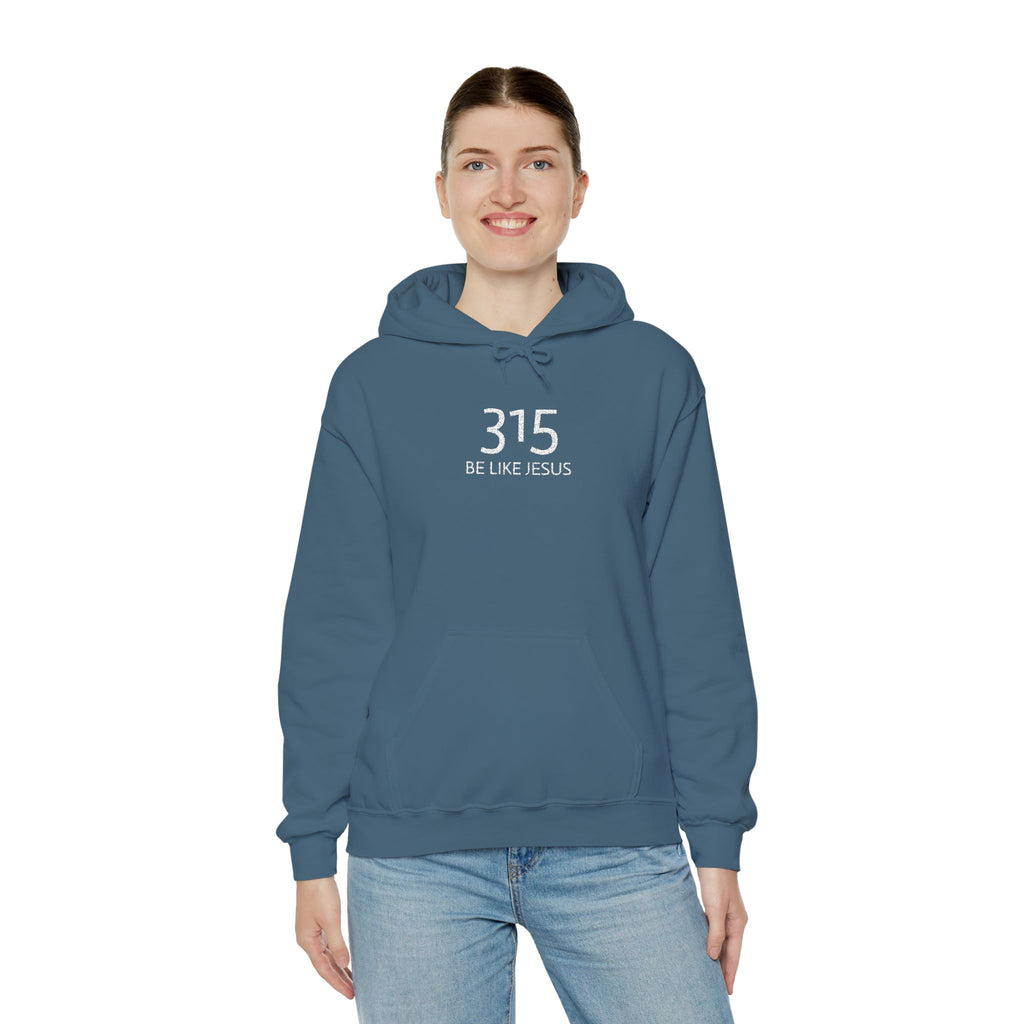 16 - 315 Be Like Jesus Embroidered Hoodie — Minimalist Distressed Graphic Sweatshirt