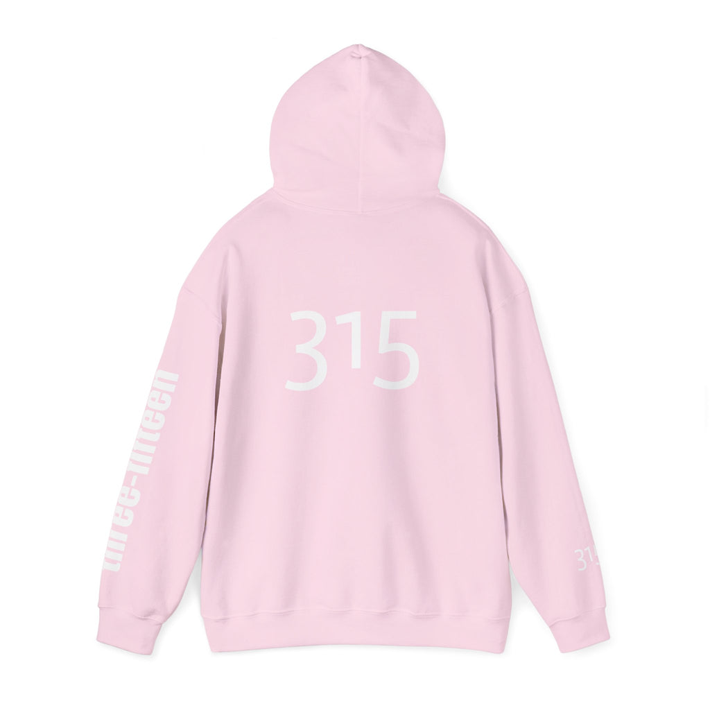 Multi Color Three-Fifteen Inspirational Quote Hoodie - This Isn't The End Of My Story