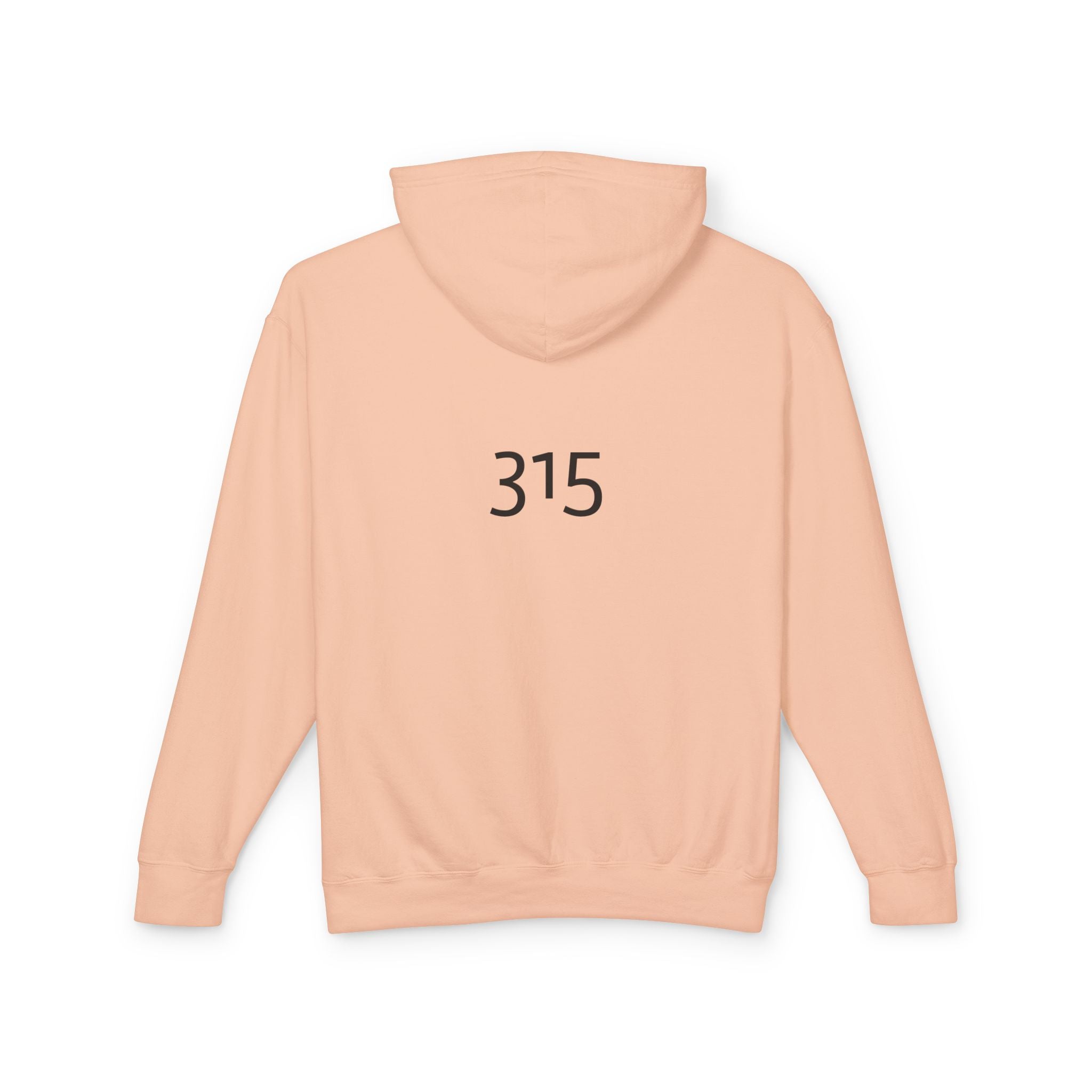 16 - Got Hope? Hoodie — Comfort Colors Minimalist Inspirational Pullover