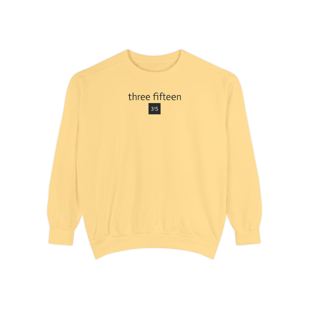 15 - Sweatshirt 315 Multi Color - Embroidered Minimalist Logo Sweatshirt —Crewneck Casual Pullover