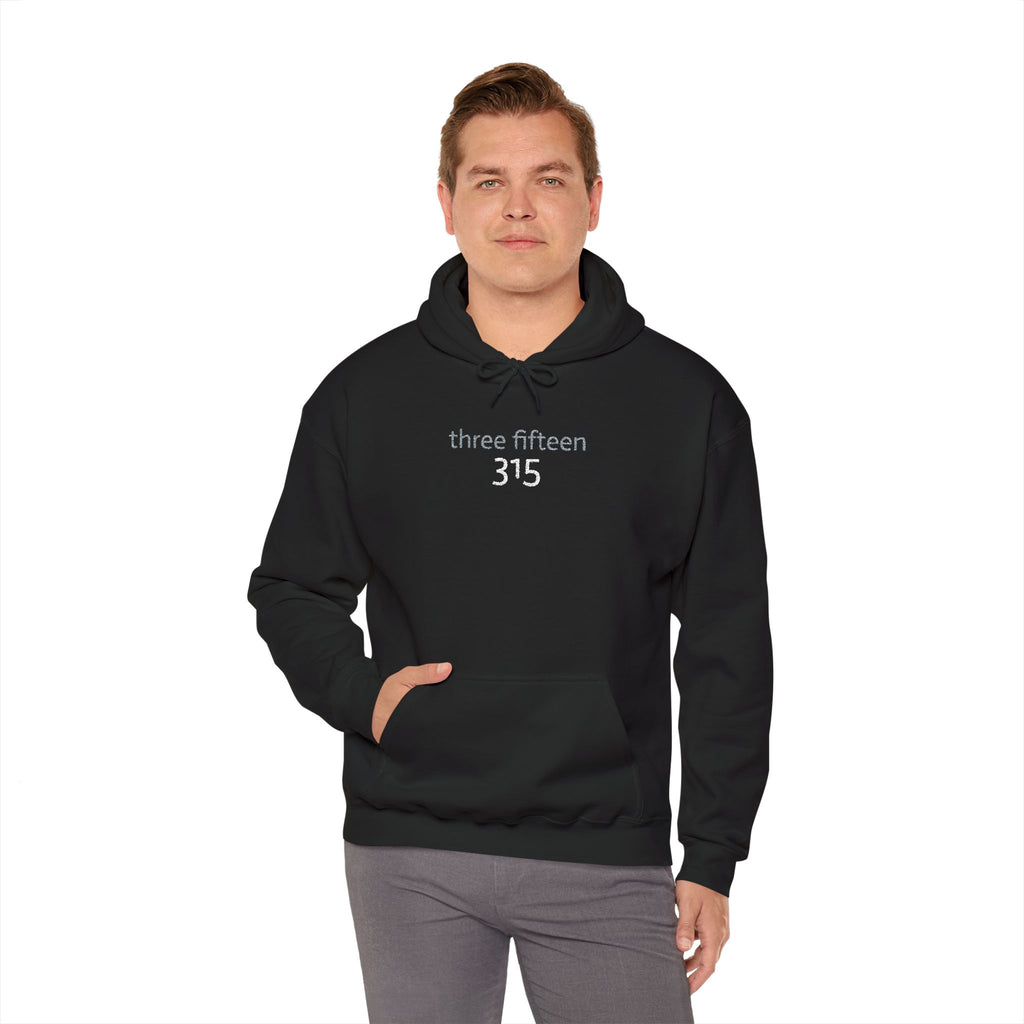 16 - 315 Three Fifteen Embroidered Hoodie — Minimalist Distressed Graphic Sweatshirt