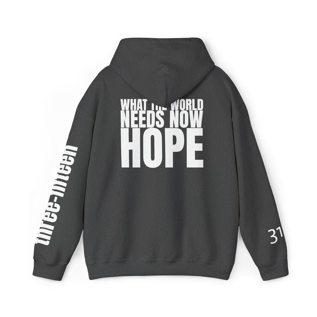 16 - Multi Colors “What the World Needs Now - HOPE”" Inspirational Quote Hoodie - This Isn't The End Of My Story
