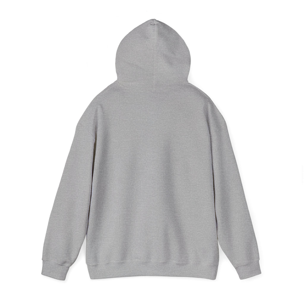 16 - Multi Color Custom Unisex Hooded Sweatshirt - Perfect for Everyday Comfort